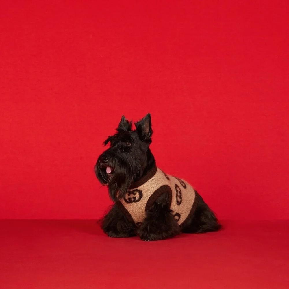 NWT Authentic Gucci Pet/Dog Sweater with Interlocking G - BRAND NEW IN GUCCI BOX - Picture 2 of 9